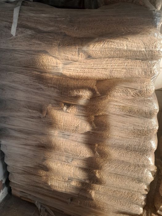 pellet A1P1 8mm sptrzedam