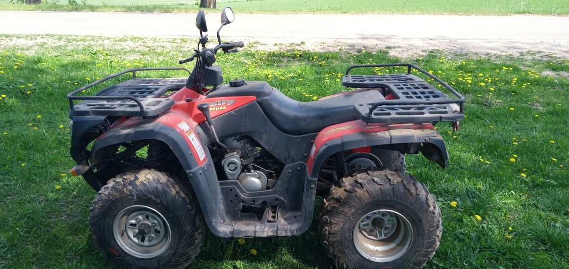 Rally USA 250 Quad ATV 2WD