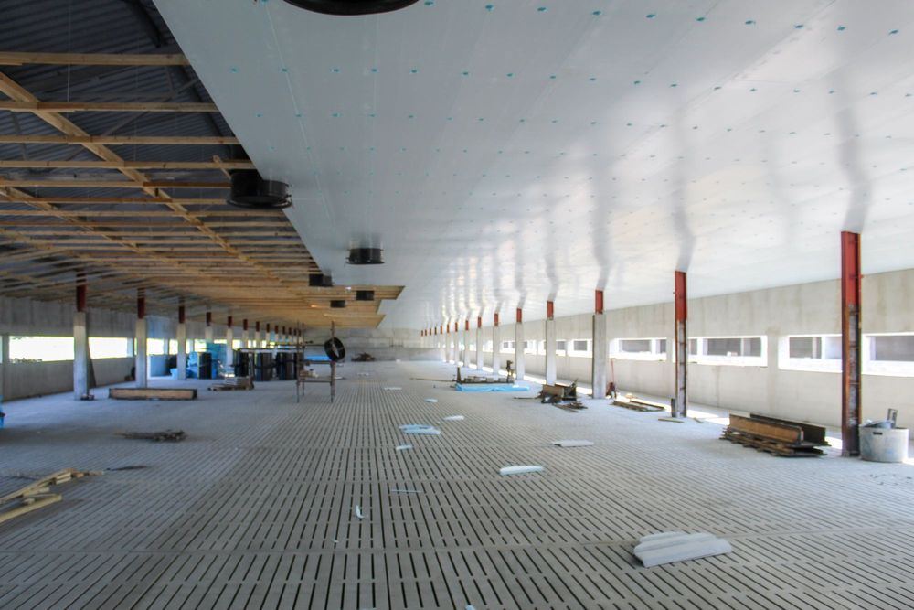 Podbitka Sufit Strop Dach do Obory Tuczarni Kurnika Styrodur XPS AGRO