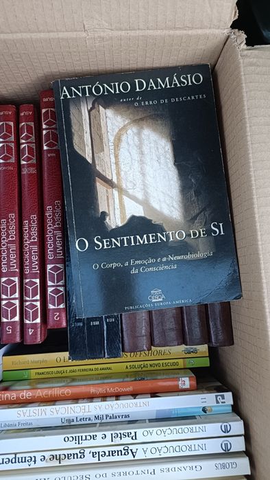 O sentimento de si