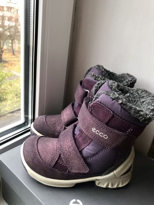 Зимние ботинки сапоги ecco