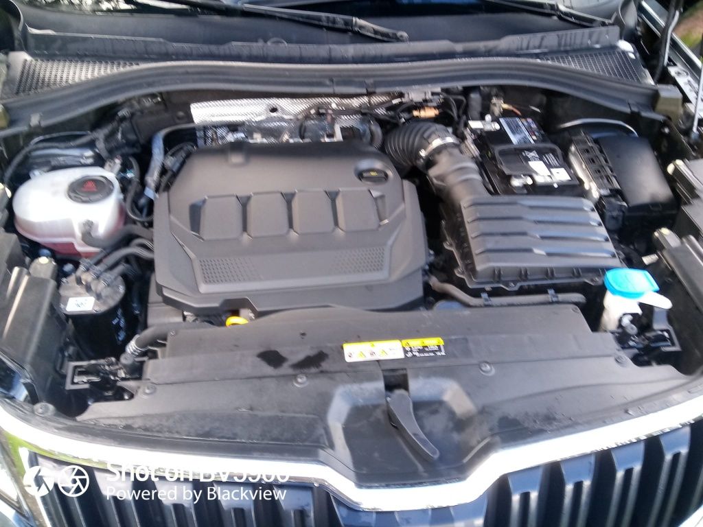Skoda Kodiak 2021