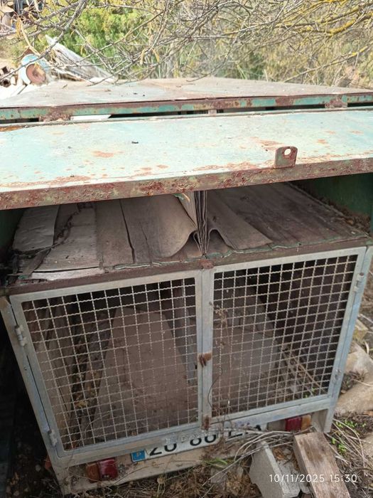 Atrelado - Reboque cães caça