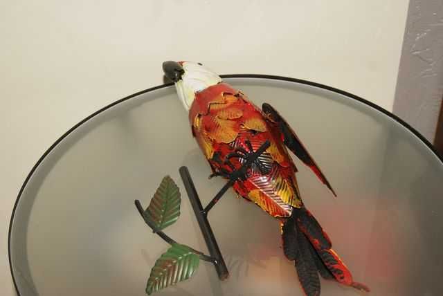 Papuga metalowa na konarze