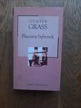 Günter Grass Blaszany bębenek