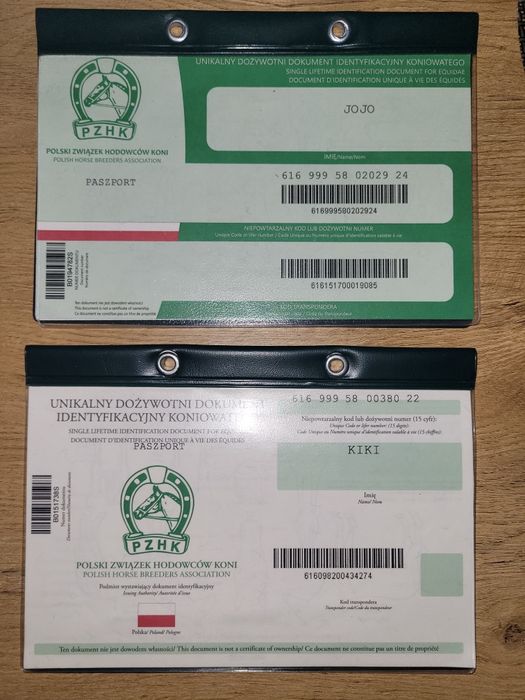 Sprzedam klacz ogiera kuca