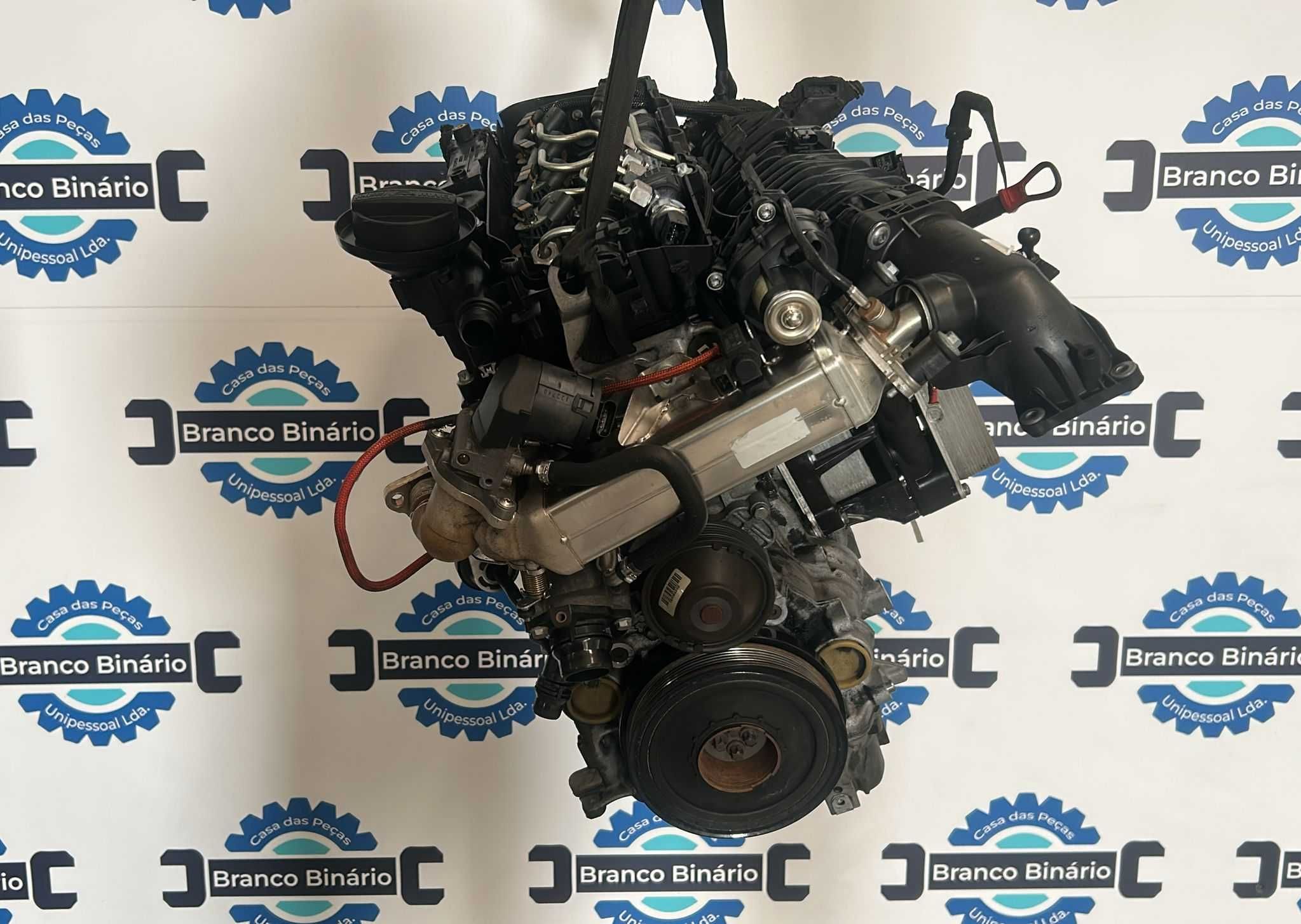 Motor BMW 320 184 cv (n47d20c)