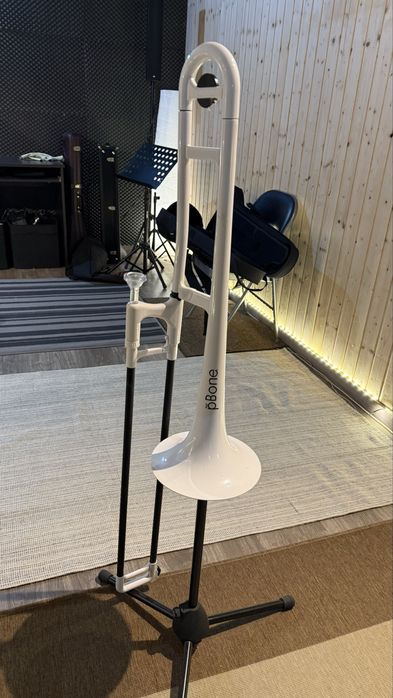 PBone Modelo Jiggs Whigham