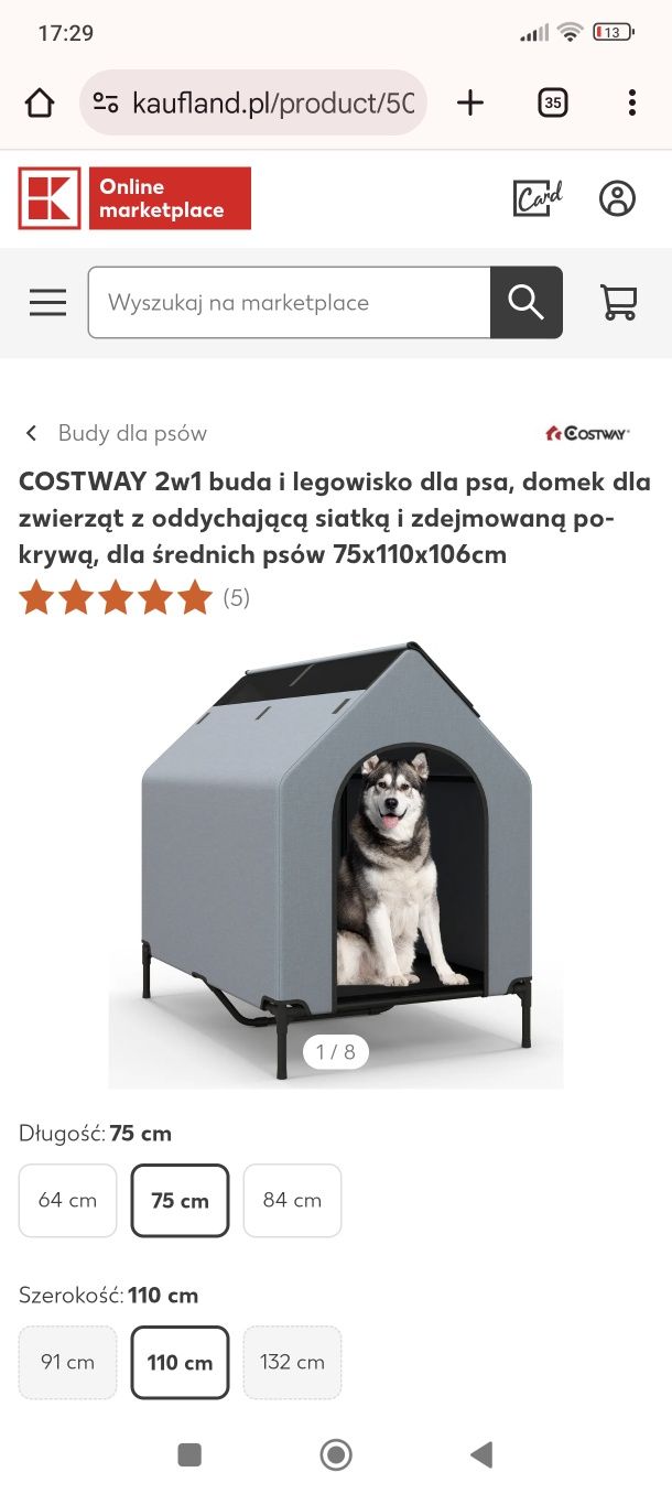 Buda dla psa z trampoliną