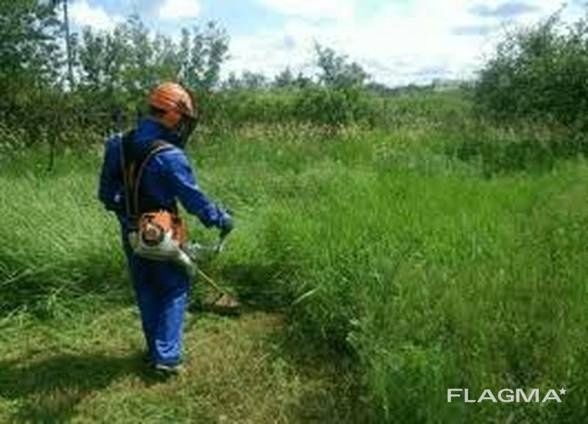 Покос трави швидко якісно недорого