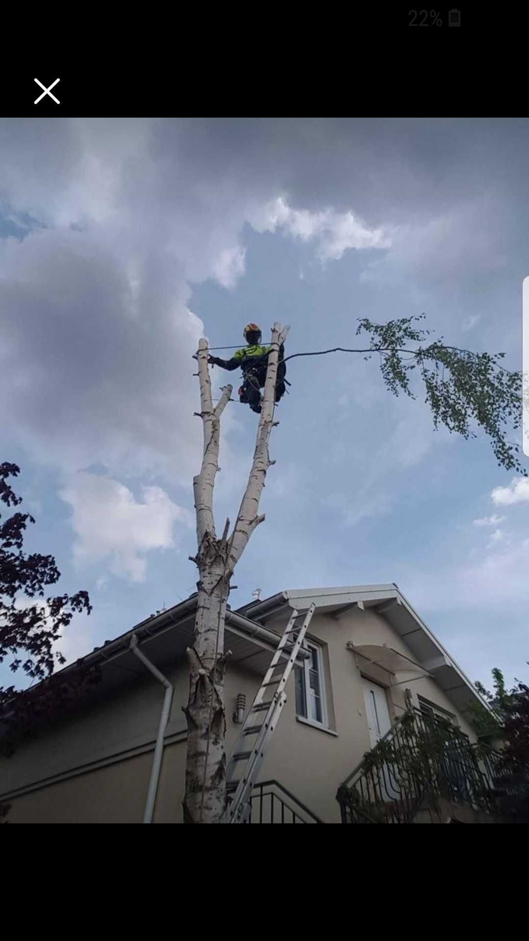 Zamiatanie mechaniczne, koszenie, wykaszanie, czyszczenie działek, osy