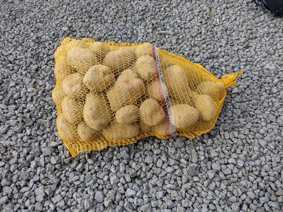 Ziemniaki odmiana bella rosa 15kg
