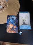 Zestaw Hollow knight - figurka, pin, pocztówka