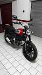 Ducati ICON R 803 cc