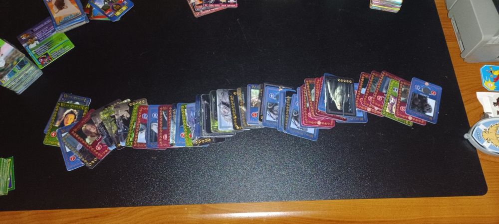 Karty władcy pierścieni, piłkarzy,rollery i inne