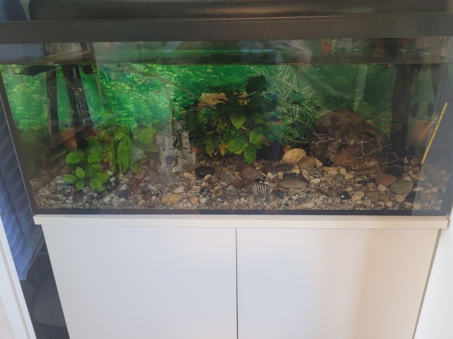 Akwarium 98 litrów