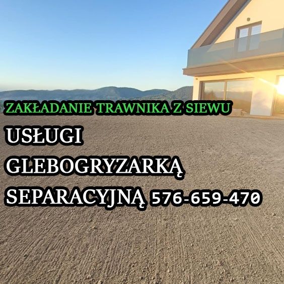 Szkółka drzew krzewów roślin