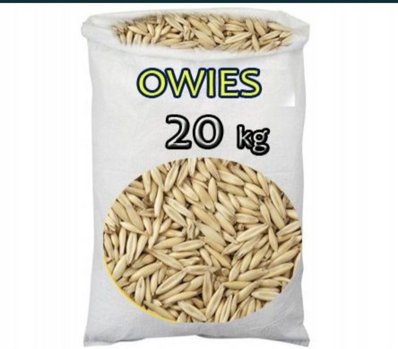 Pszenica jeczmien owies kukurydza cięta mielona gnieciona zboża Hurt-D