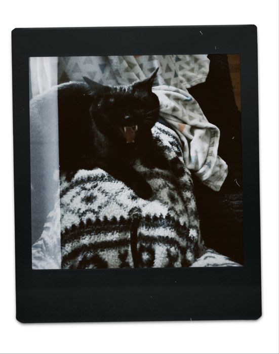 Темінь шукає дім