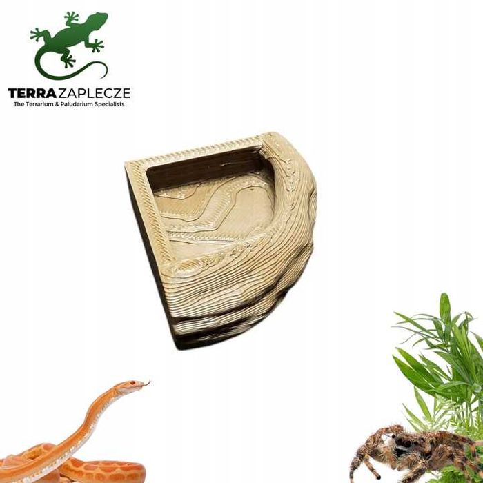 Miska Narożna do Terrarium Dla Gekonów Pająków 6x7x2 TerraZaplecze