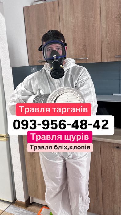 Травлю клопов , тараканов всех насекомых с гарантией 1 год на травлю