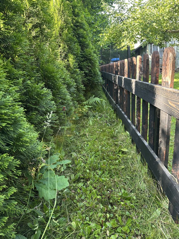Na sprzedaż działka ROD „Witaminka” – Zaborze k. Oświęcimia – 300 m²