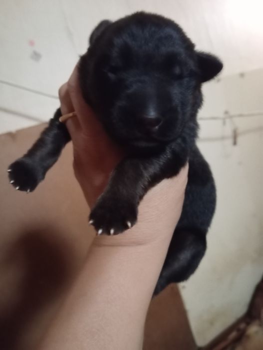 Открыта бронь .Есть мальчики и девочки.