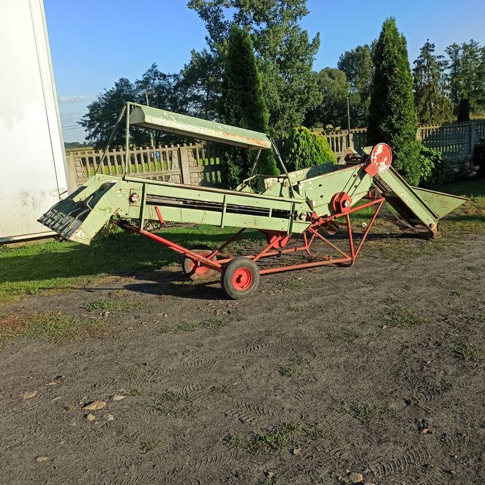 Sortownik do ziemniaków Remprodex - Samro do warzyw ( Puck , Skals)