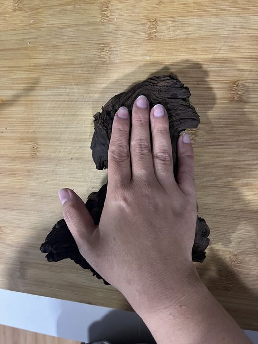 Troncos para aquário/terrário