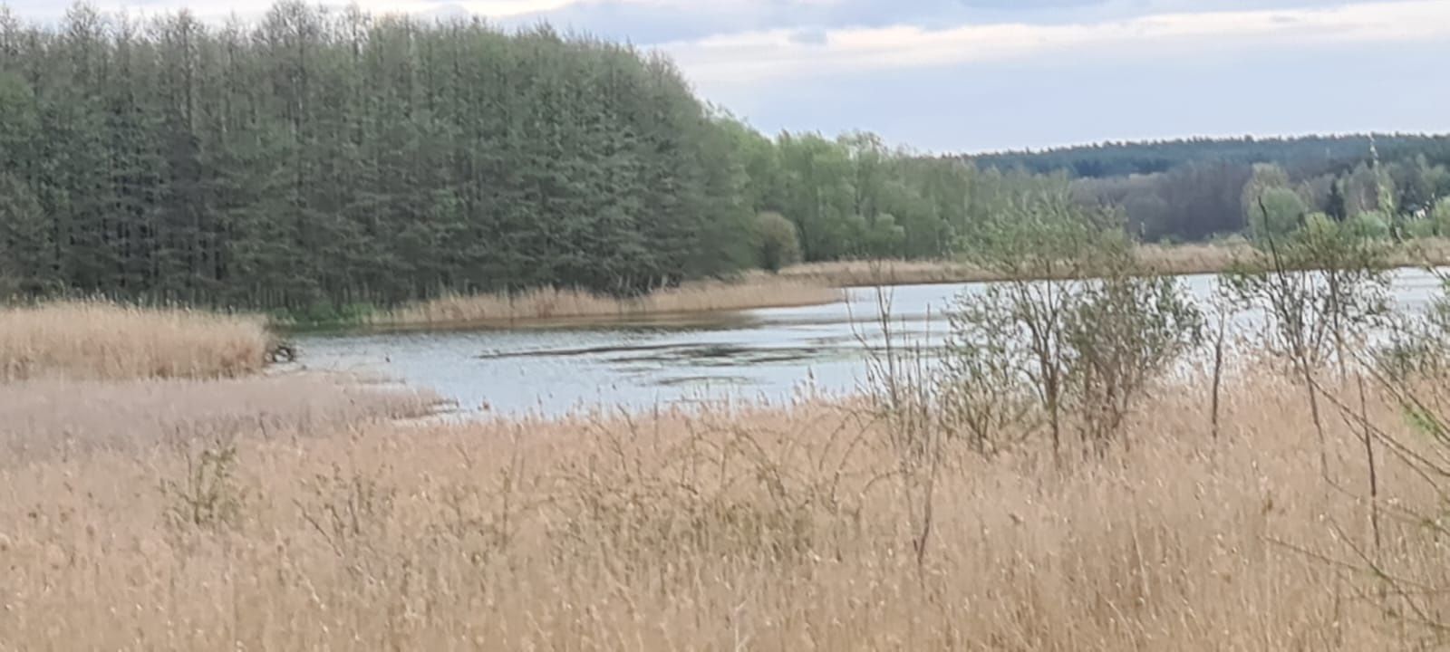 Działka Sulęcin w bezpośrednim sąsiedztwie stawów