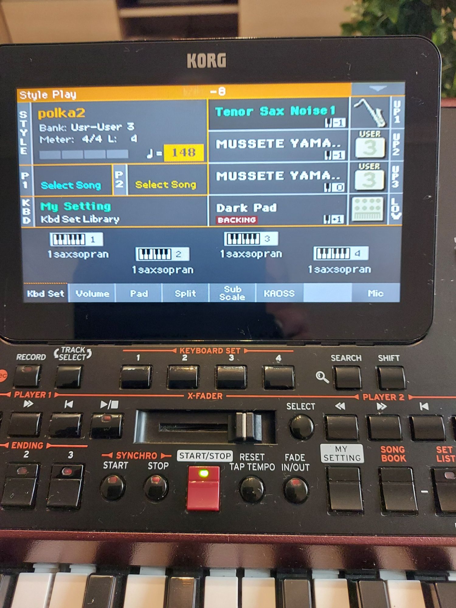 Korg pa  1000 stan dobry