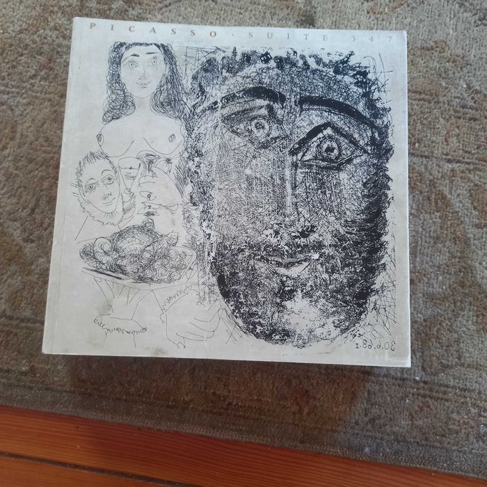 Picasso suite 347