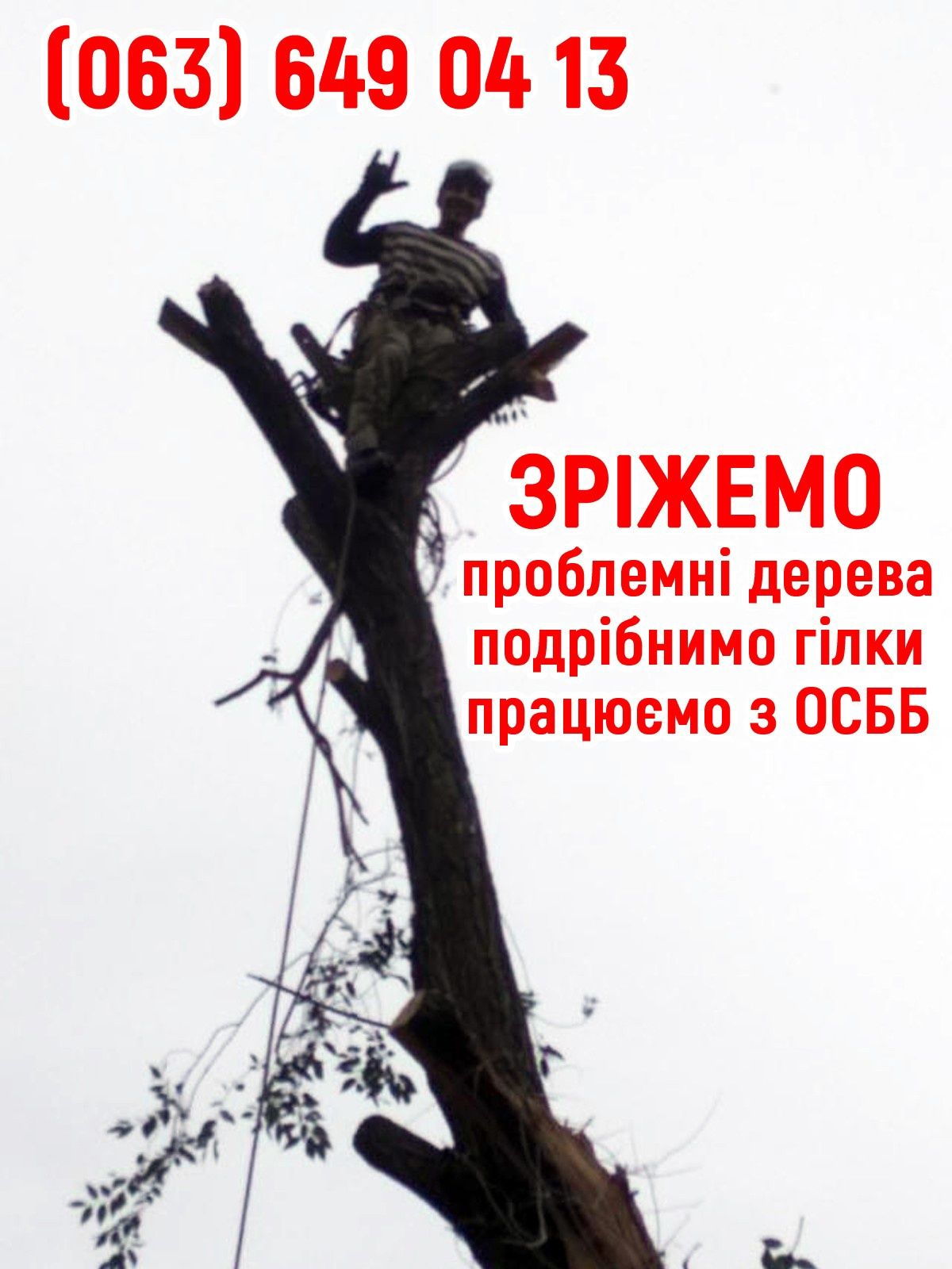 Спиляти,Зрізати ДЕРЕВО Спилить, Обрезать ДЕРЕВО. Подрібнення гілок.