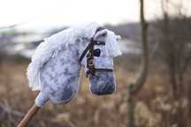 Hobby horse używany