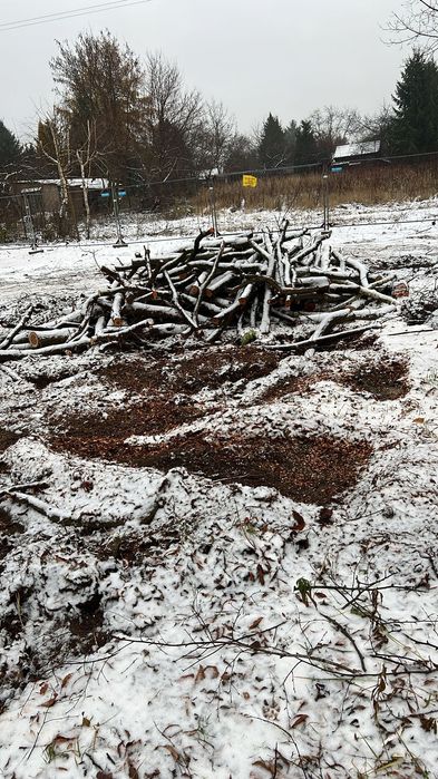 Drewno opałowe/owocowe – 50 mp, super do wędzarni! Oddam