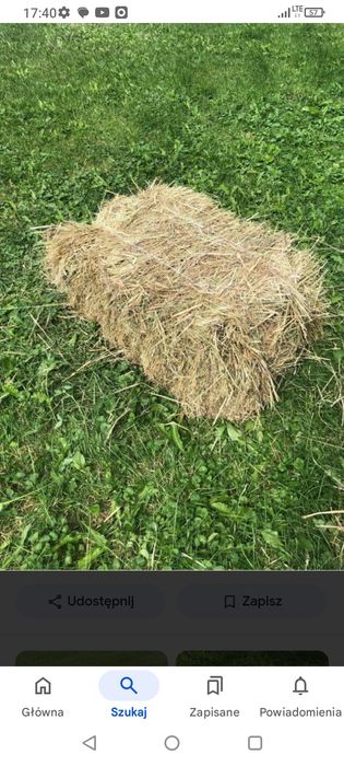 Siano w kostkach 2025 pierwszy pokos