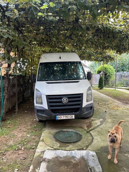 крафтер 2008 рік