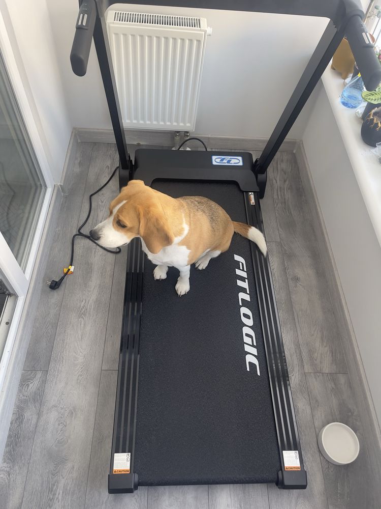 Бігова доріжка FitLogic T12B