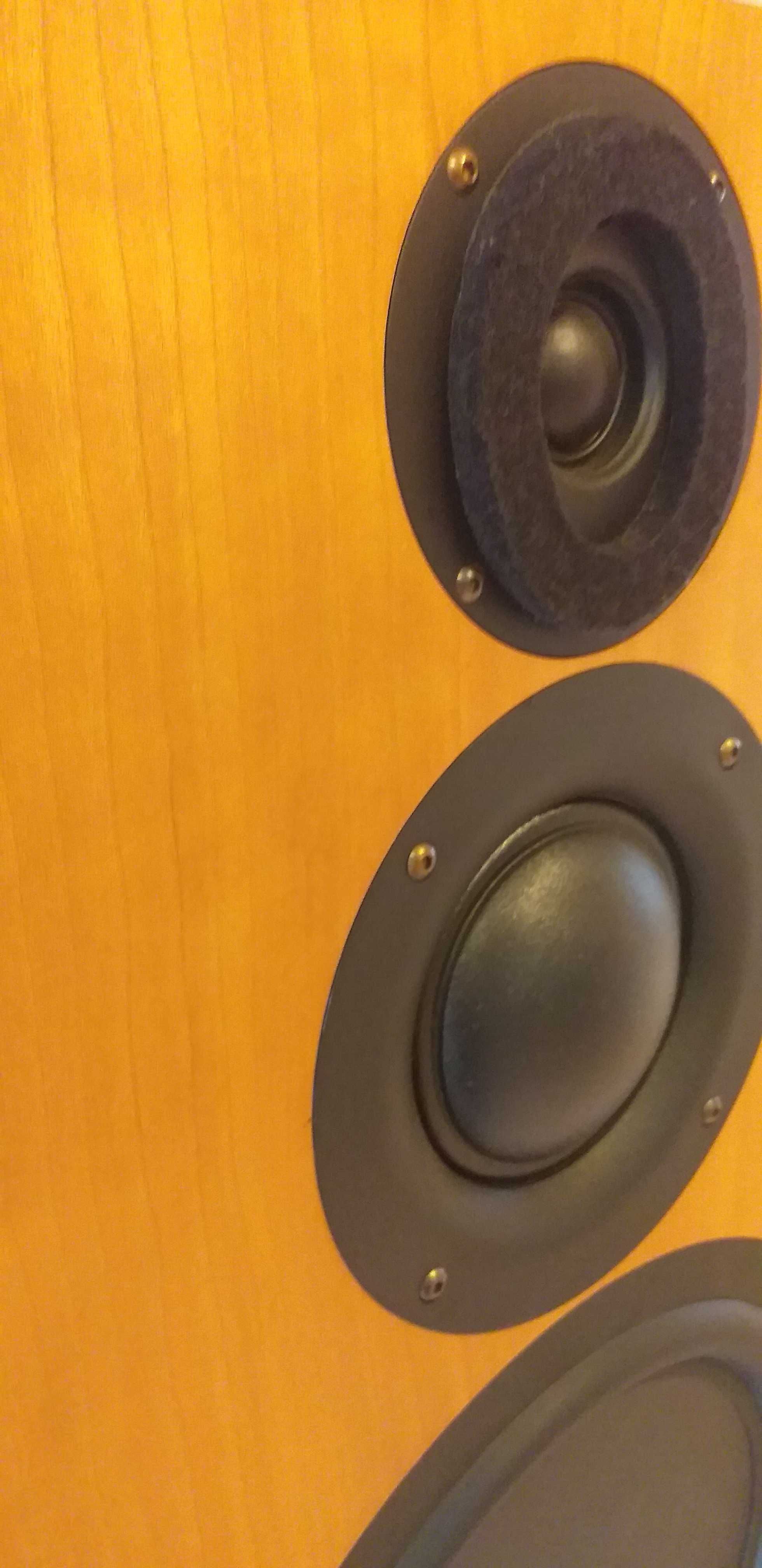 PMC IB1 monitory high-end (okleina buk) OKAZYJNA CENA