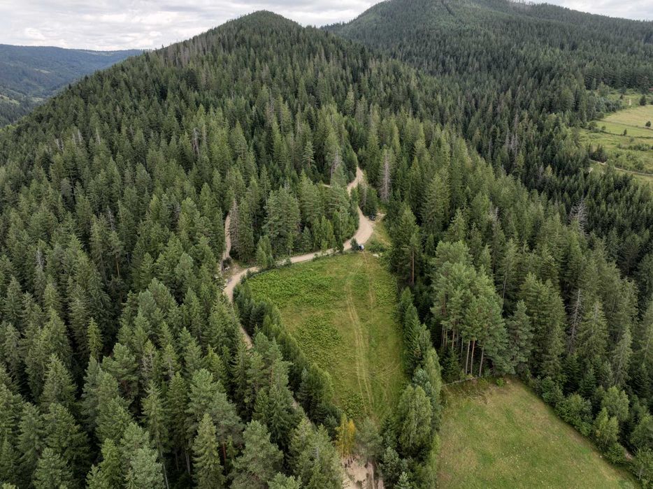 Земельна ділянка 0,34 га, с.Микуличин (панорама, ліс навколо)