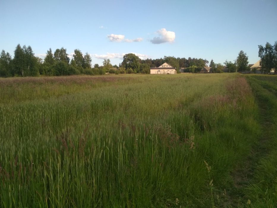 36 соток Суховоля