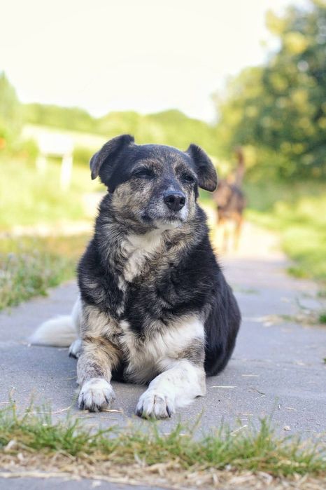 Pokochaj Wandę .