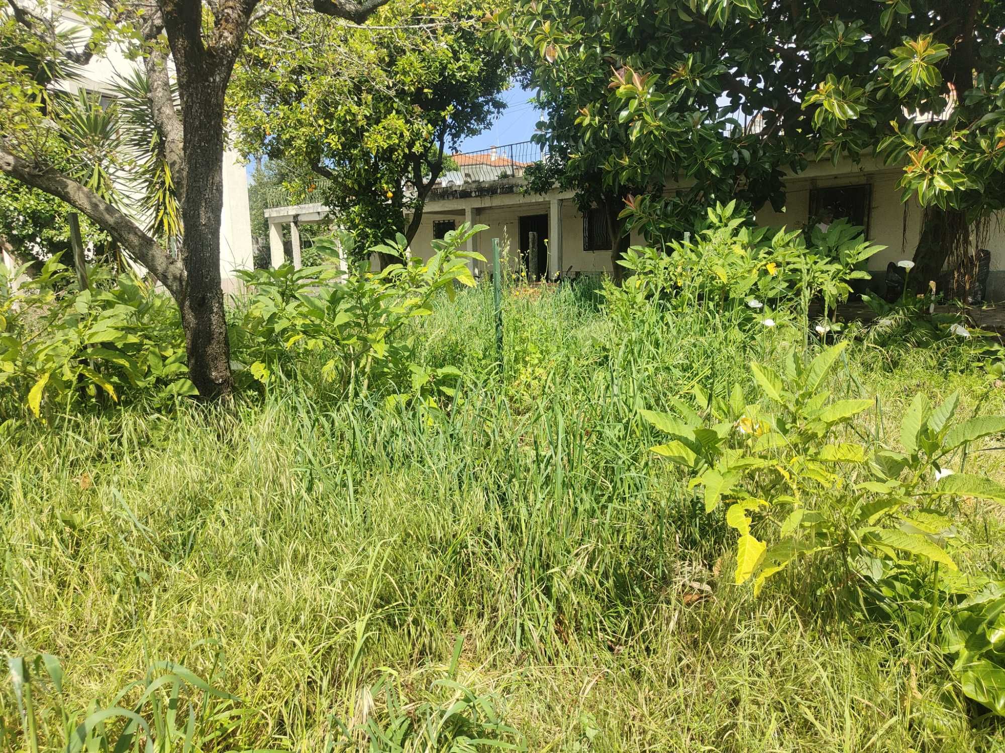 moradia tipo V3 com 1400m2 de terreno