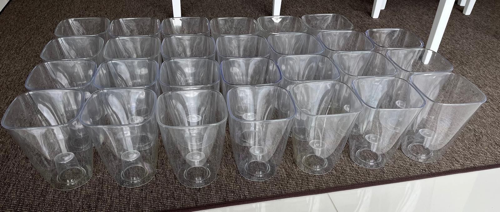 27 vasos transparentes plantas