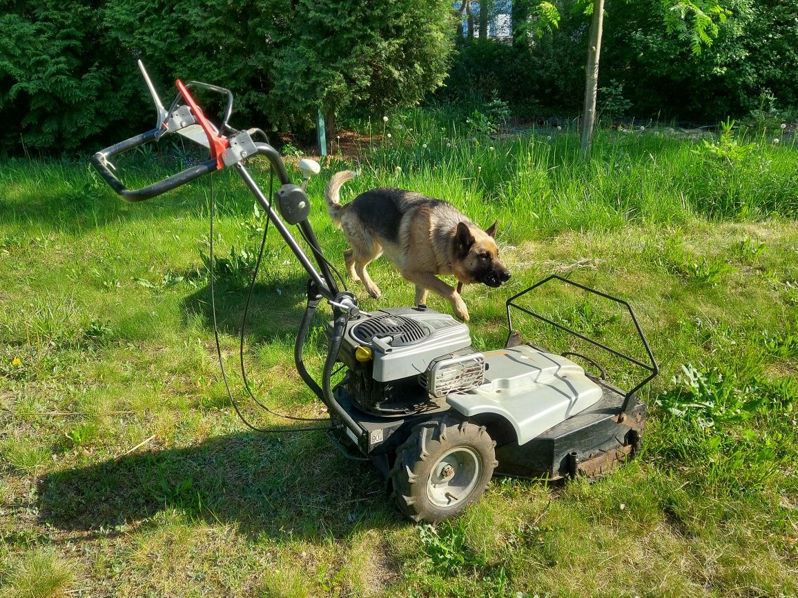 Kosiarka do zarośli z napędem LUMAG Briggs & Stratton 850