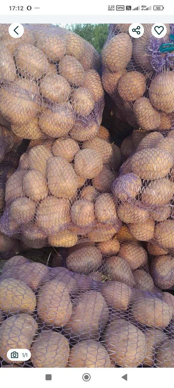 Продам картоплю домашню
