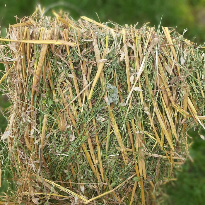 Продам сіно,люцерна+овсянка