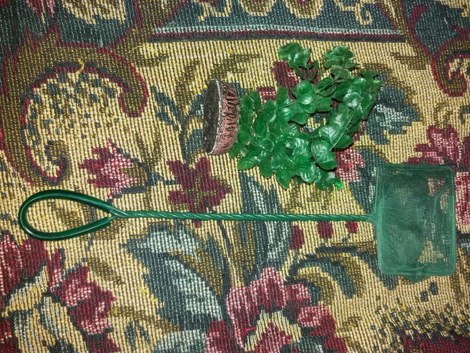 Віддам для рибок