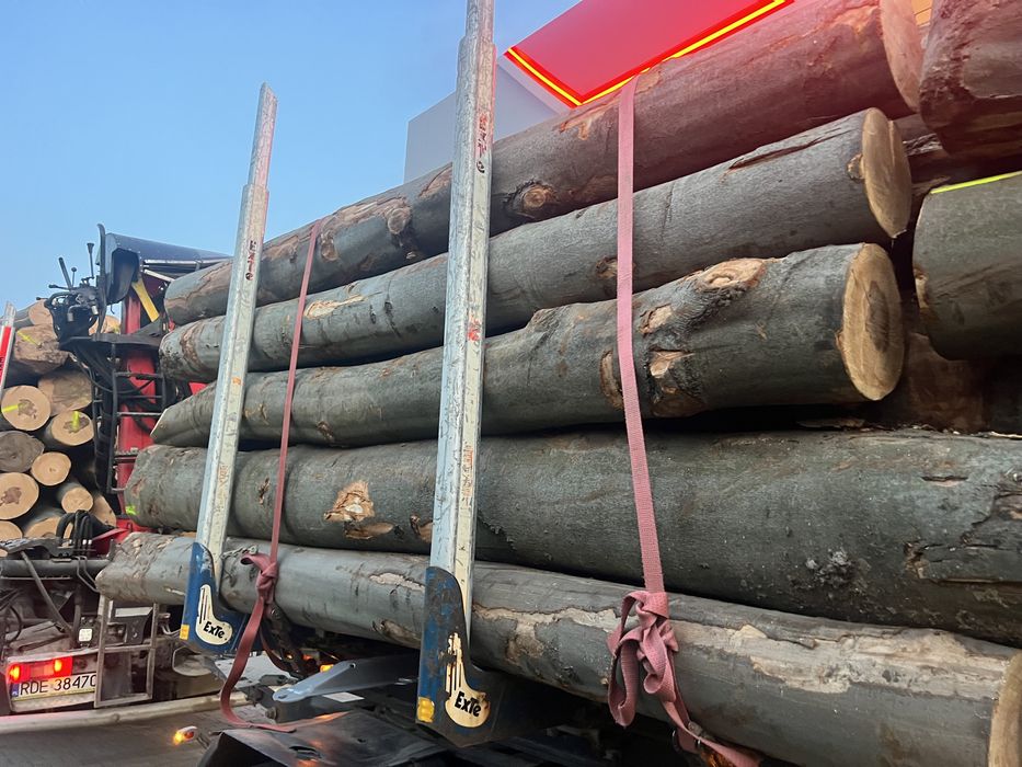 Drewno bukowe - opałowe