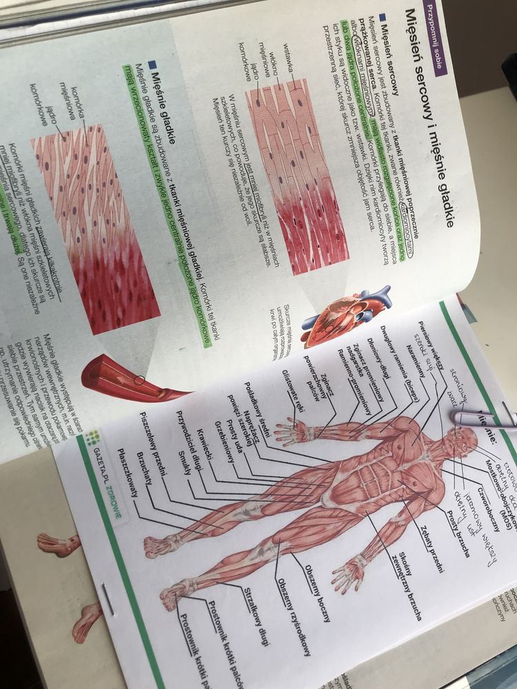 Biologia na czasie 3 poziom rozszerzony